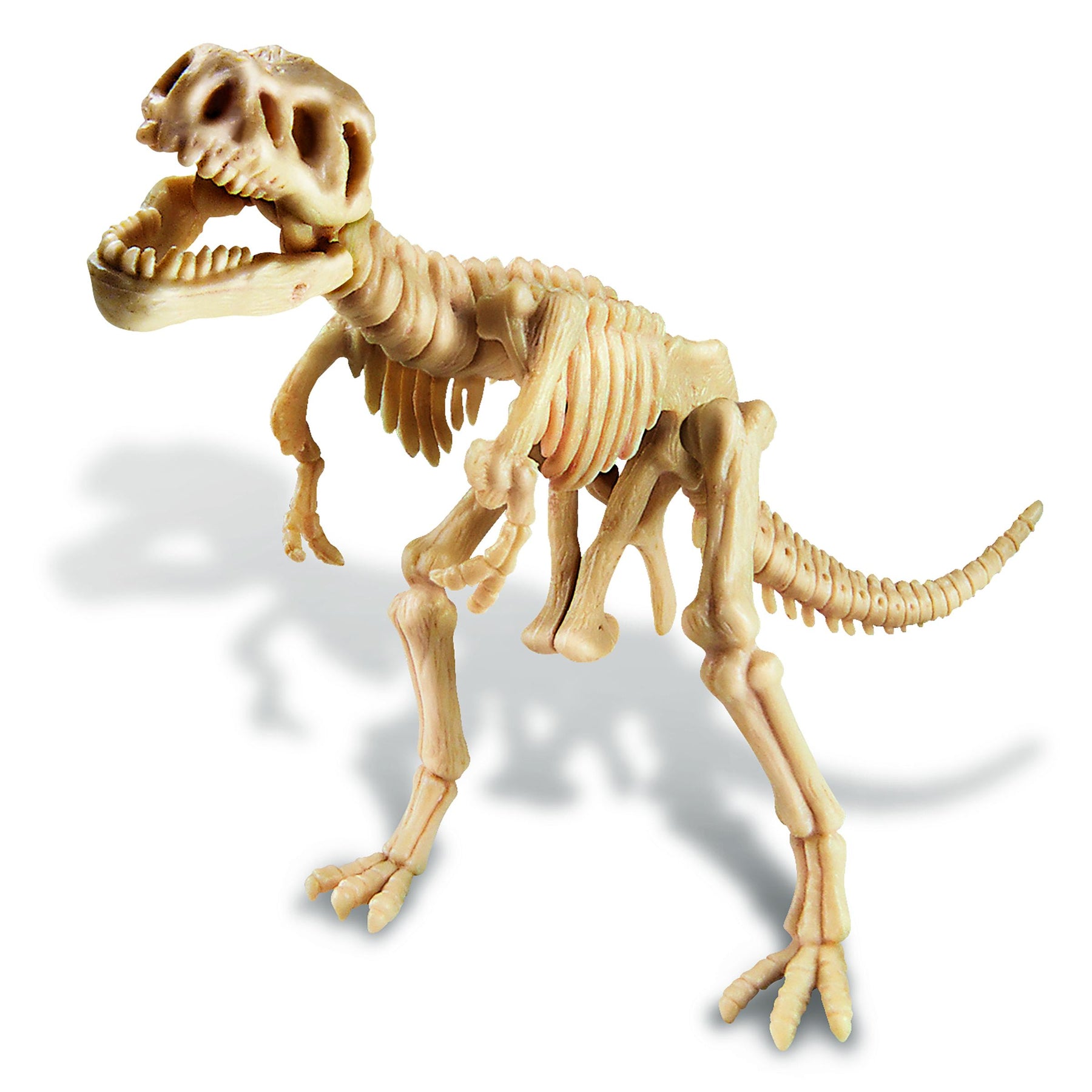 4M KidzLabs T-Rex Fossil Kaivaussetti