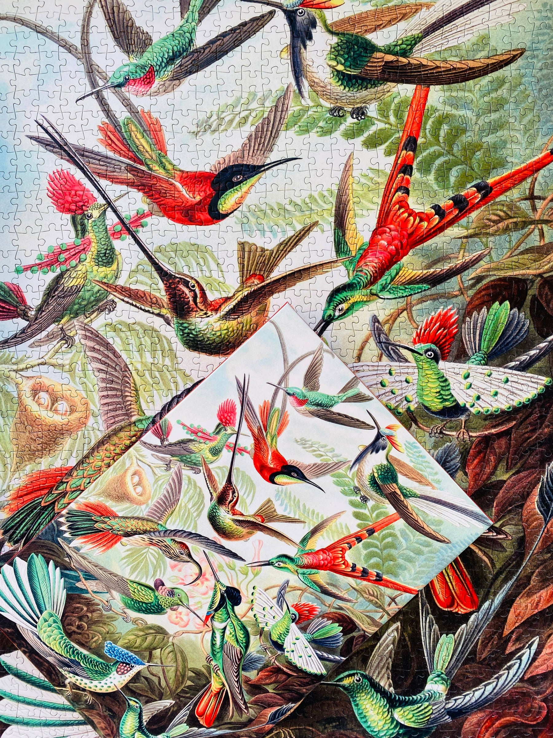 Penny Puzzle Kolibrit/Hummingbirds 1000 Palan Palapeli Vintage