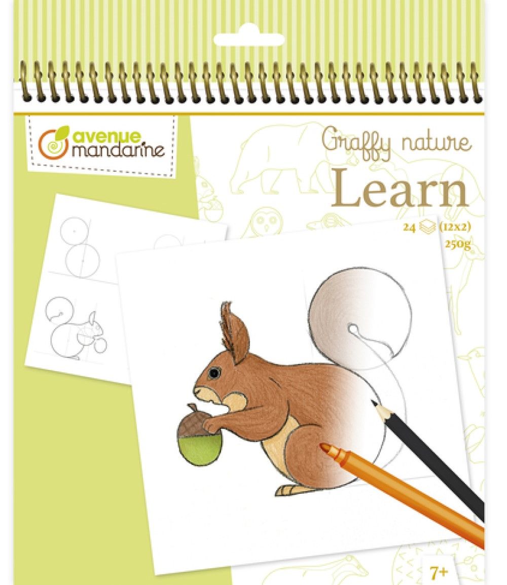 Graffy Nature Opettele Piirtämään 24 Kuvaa Metsäneläimet