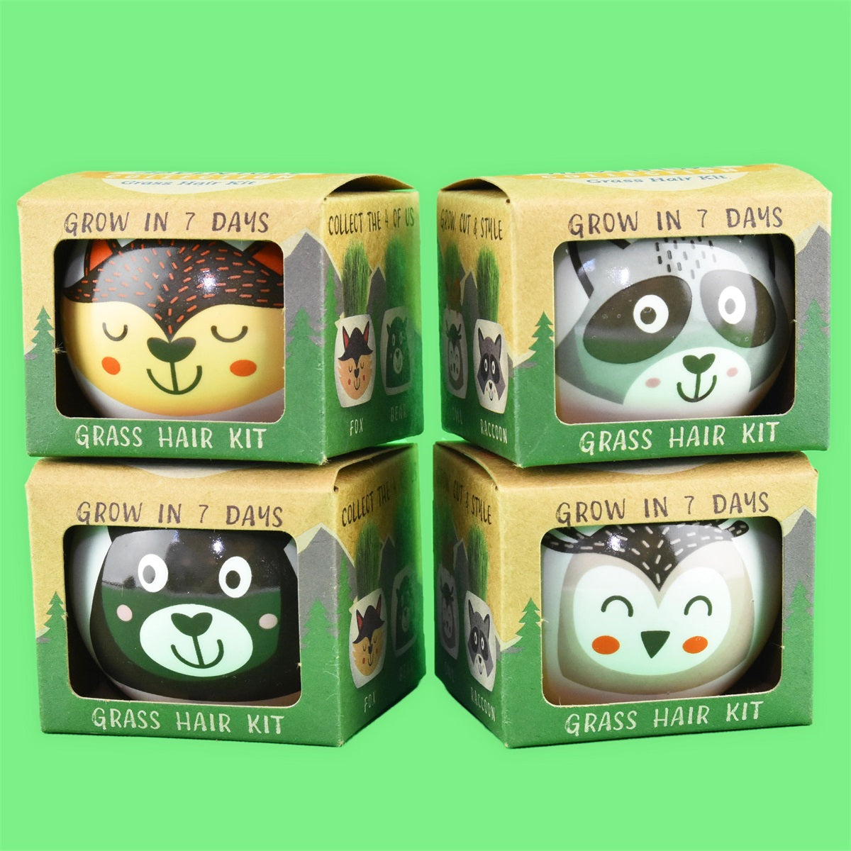 Rairuohon Kasvatussetti Metsäneläimet Lajitelma