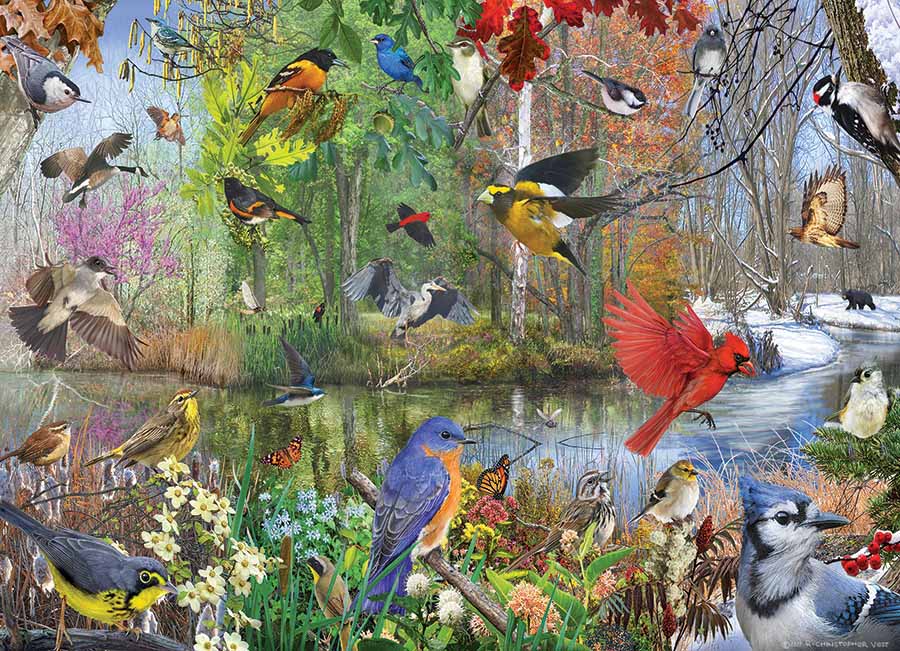 Cobble Hill 1000 Palan Palapeli Birds Of The Season