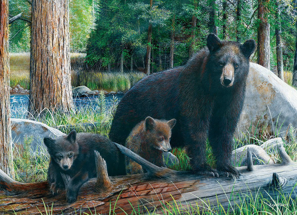 Eurographics 1000 Palan Palapeli New Discoveries by Daniel