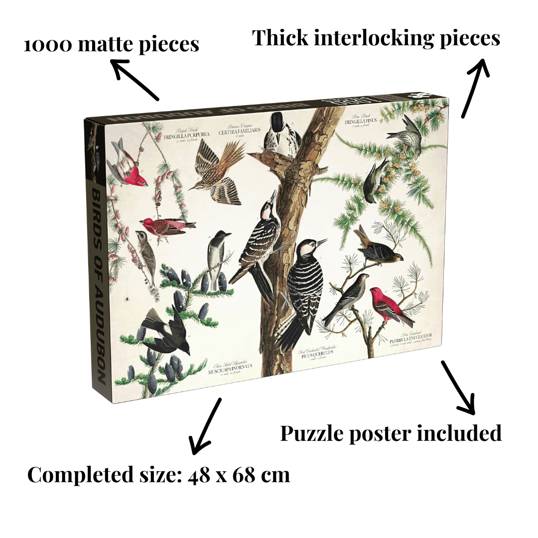 Penny Puzzle Birds of Audubon 1000 Palan Vintage Palapeli
