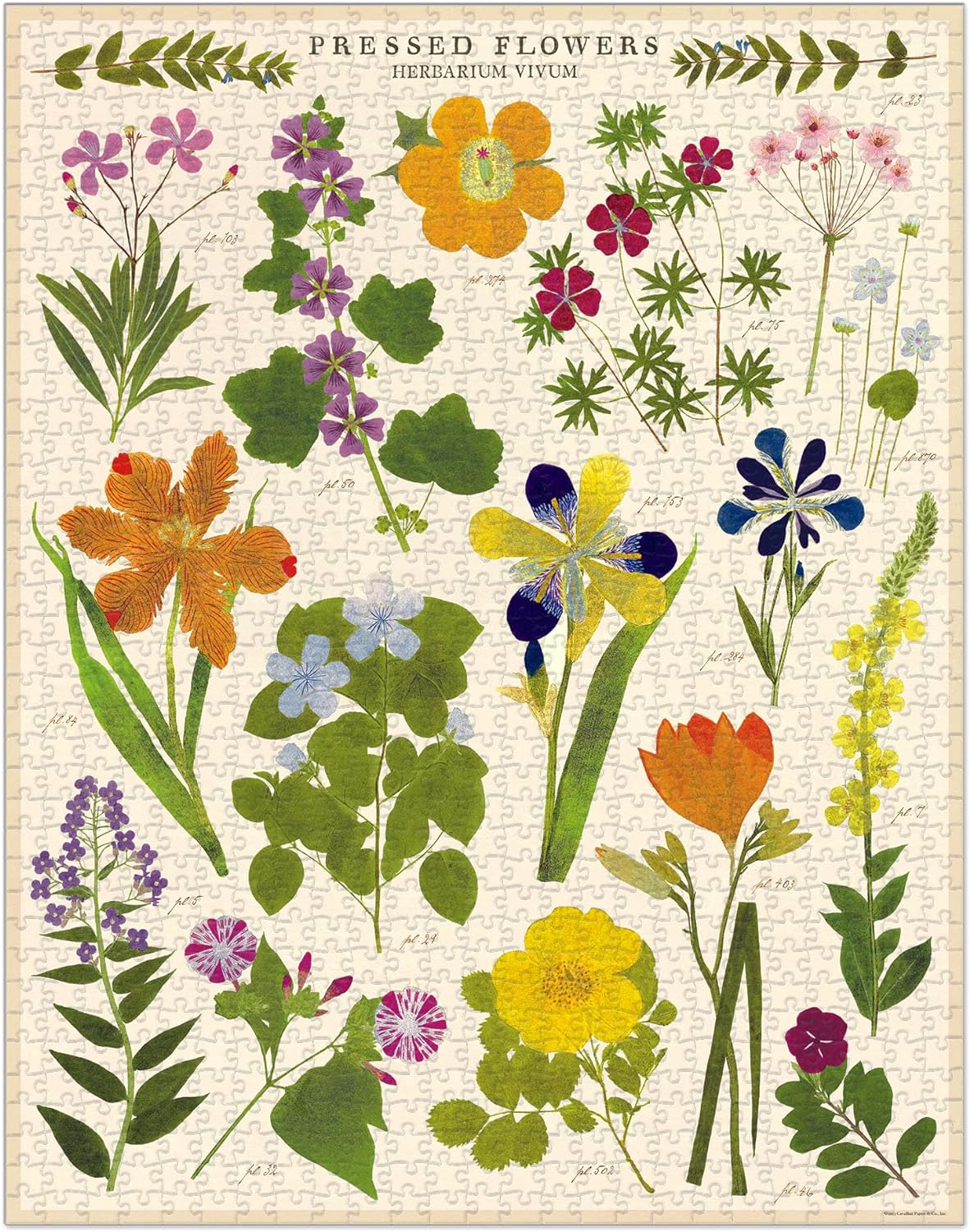 Cavallini & Co. Vintage Puzzle 1000 Palaa Pressed Flowers