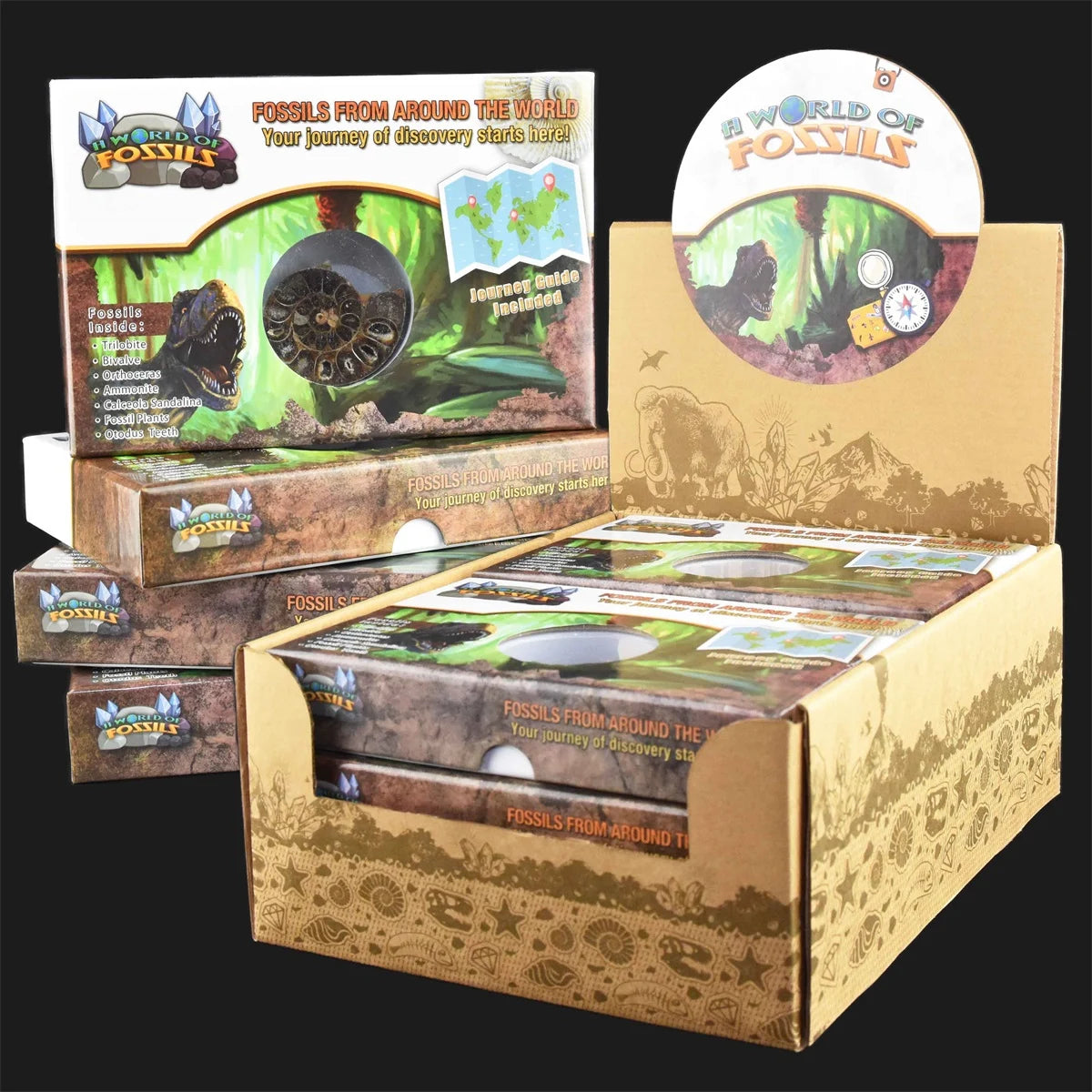 Fossiili Leikkisetti