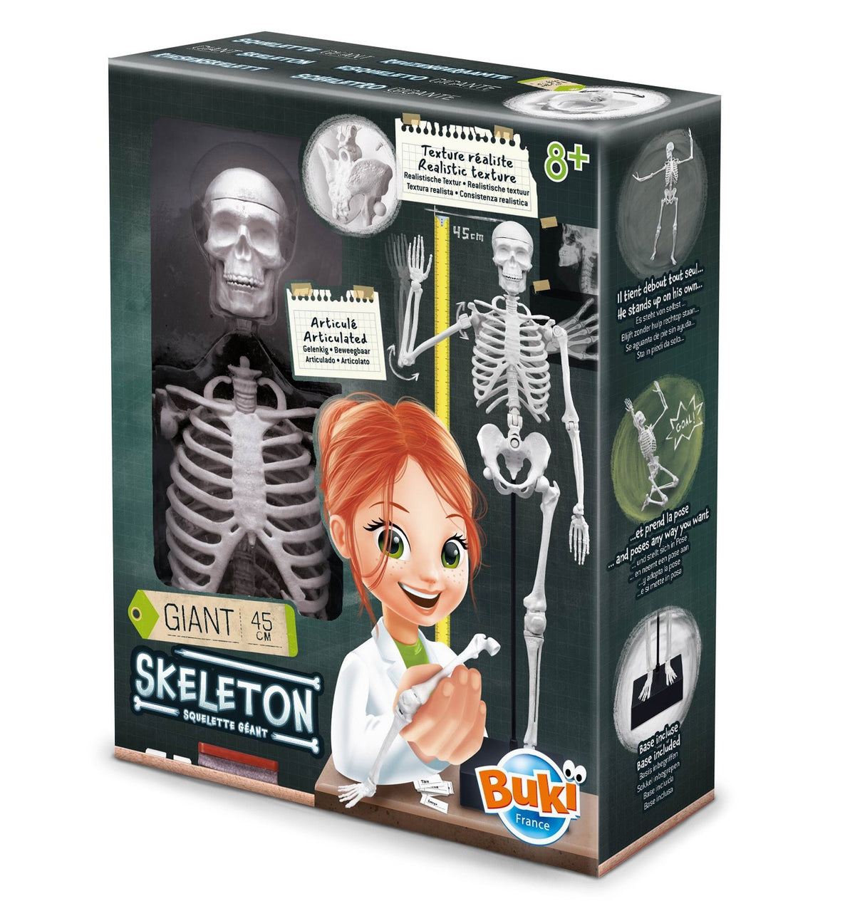 Buki Koottava Luuranko 45 cm