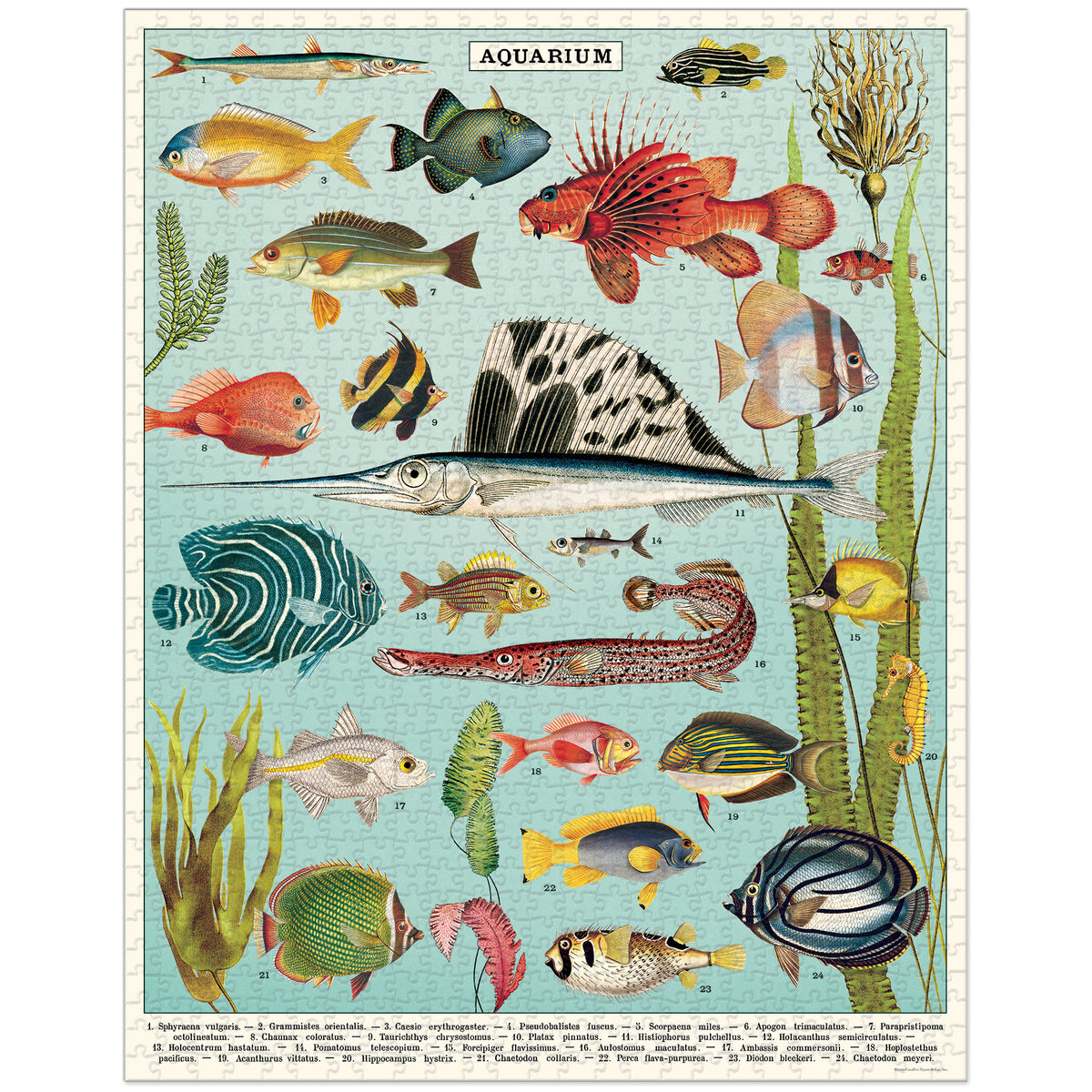 Cavallini & Co. Vintage Puzzle 1000 palaa Aquarium