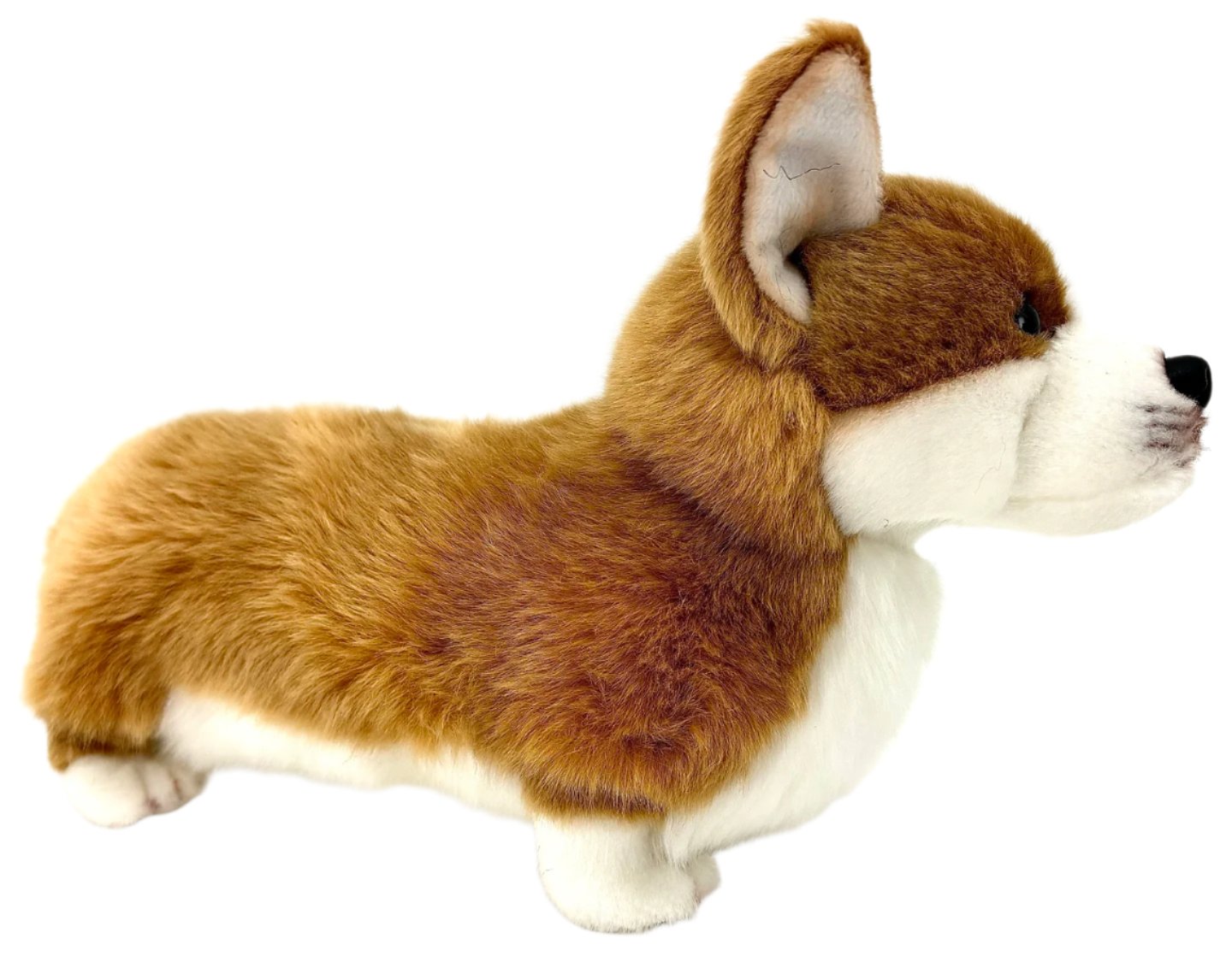 Corgi Pehmolelu 28 cm