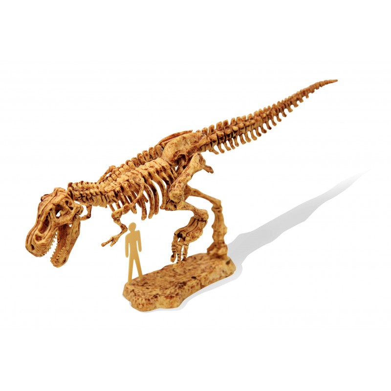 Dinokit Arkeologinen Kaivaus Dinosauruksen Luuranko - Tyrannosaurus