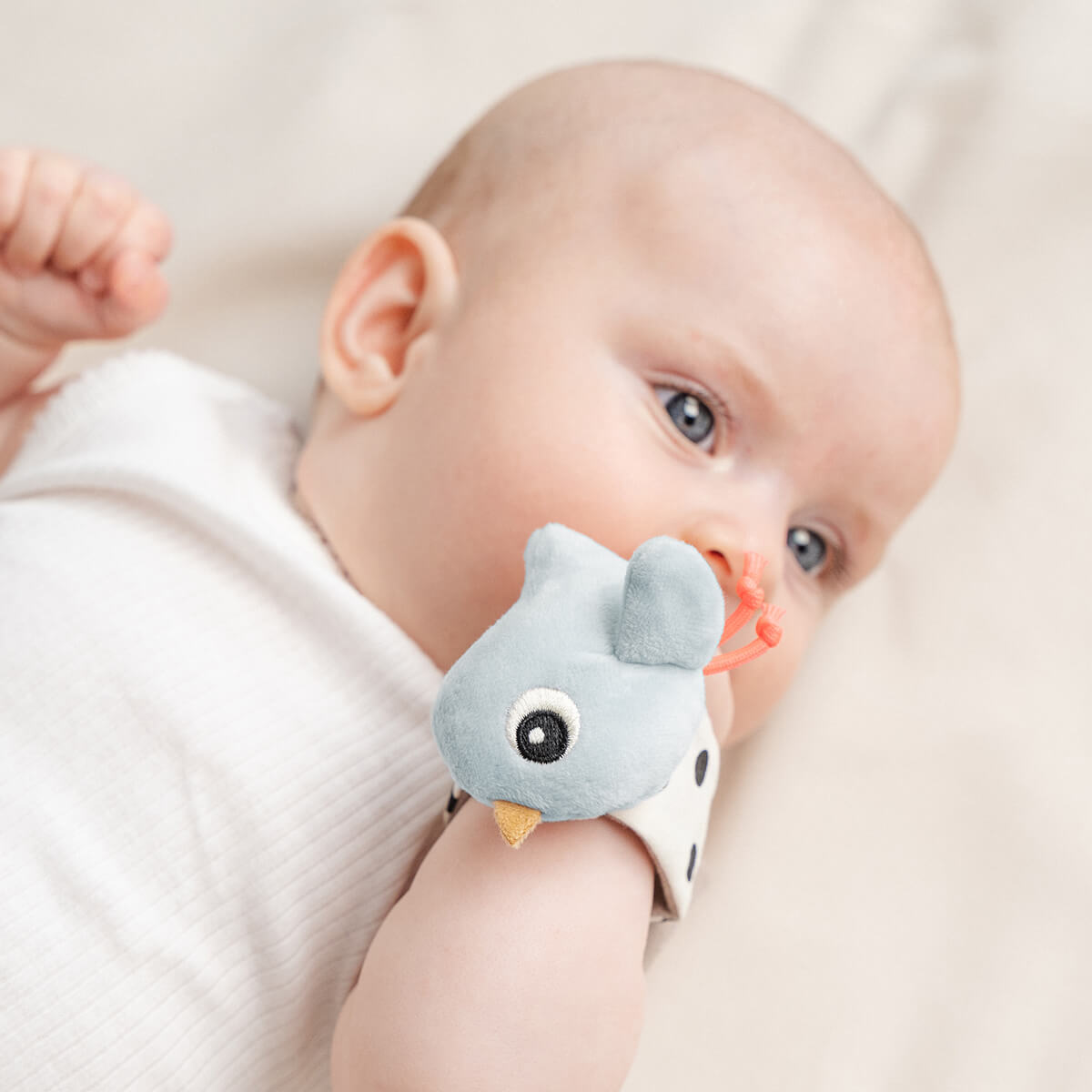 Done by Deer Rannehelistimet Sininen