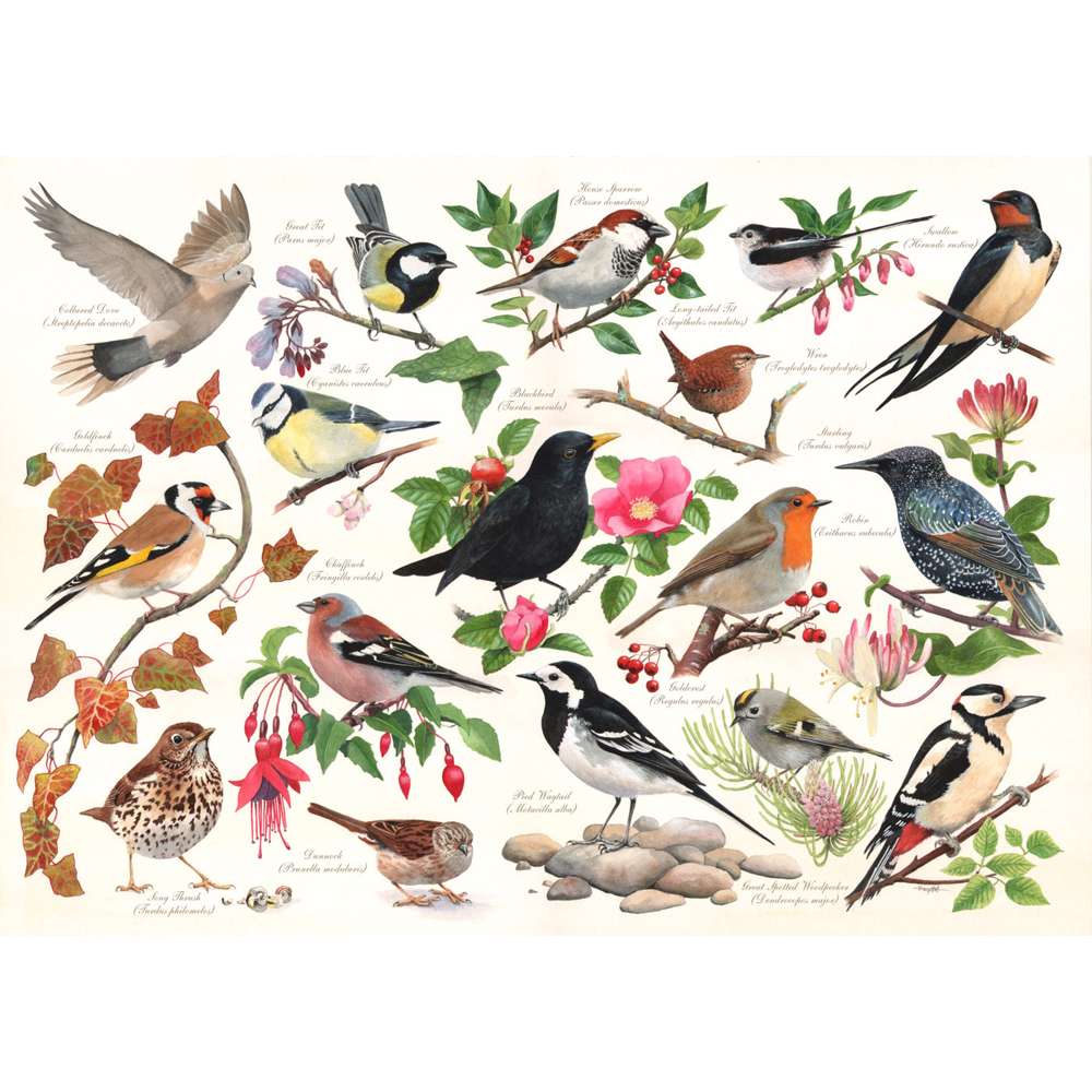 House Of Puzzles Birds In My Garden 1000 Palan Palapeli