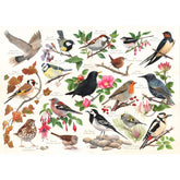 House Of Puzzles Birds In My Garden 1000 Palan Palapeli
