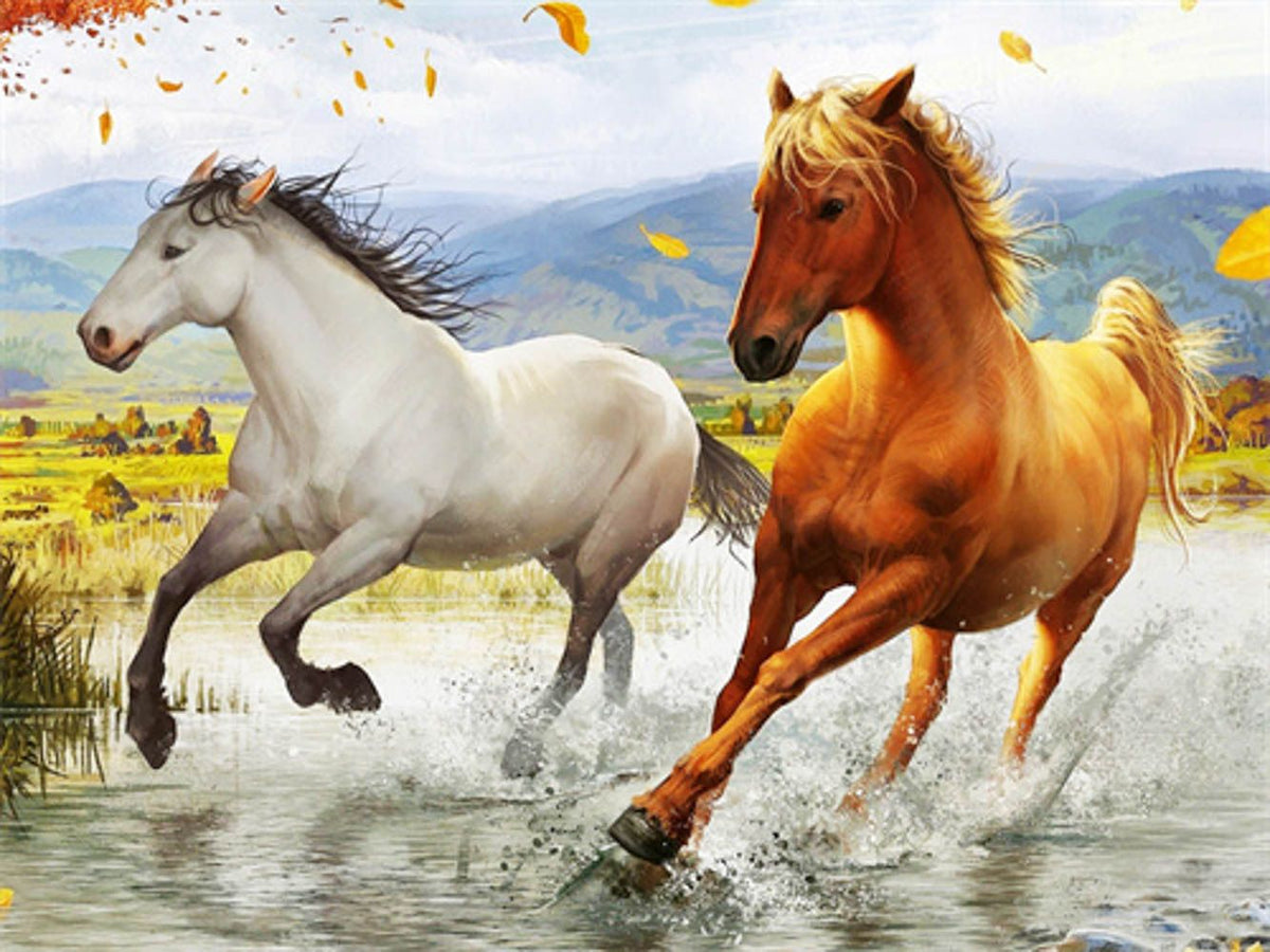 Itsibitsi Diamond Painting / Timanttityö 30x40 Kaksi Laukkaavaa Hevosta