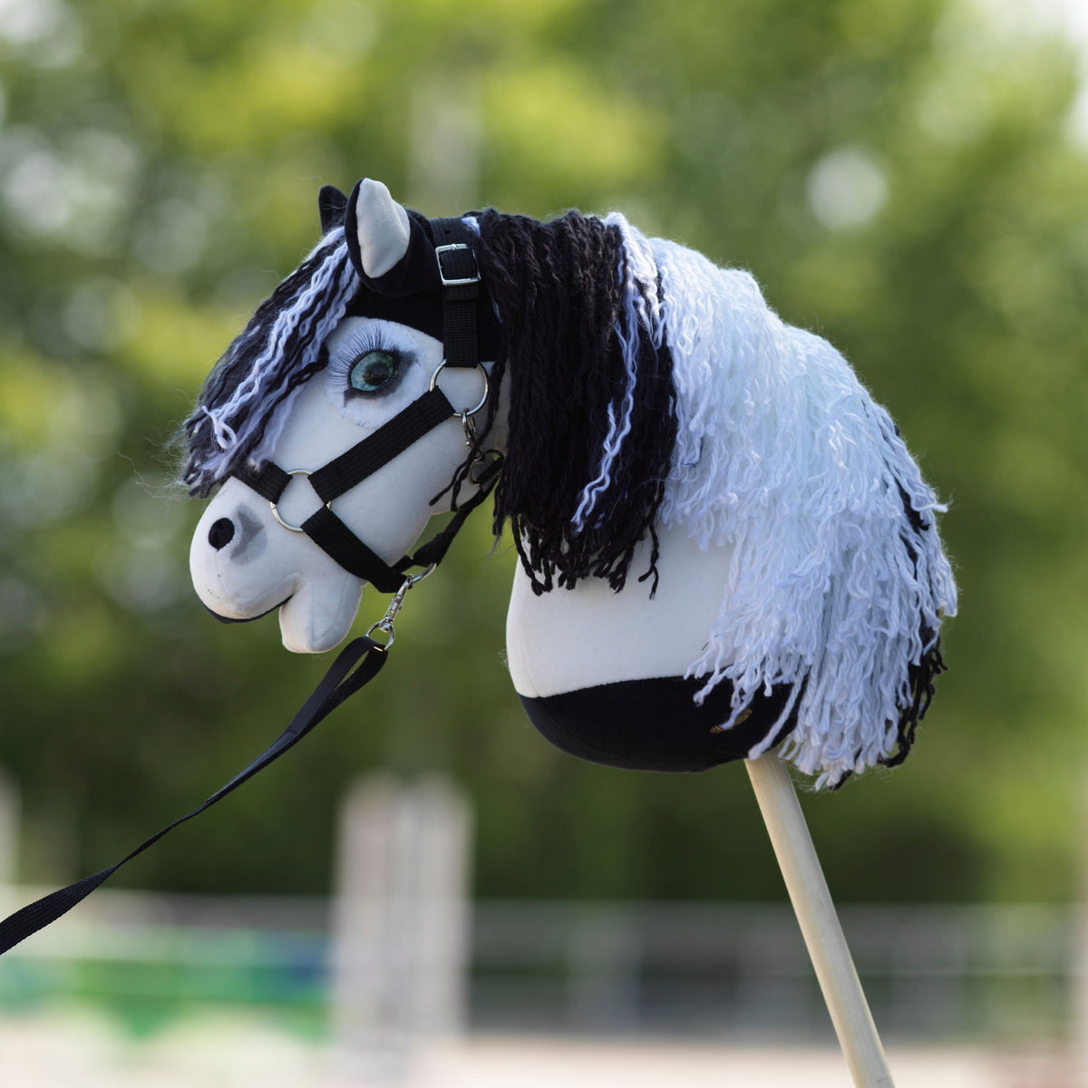 Keppihevosen Silmäsetti Sininen