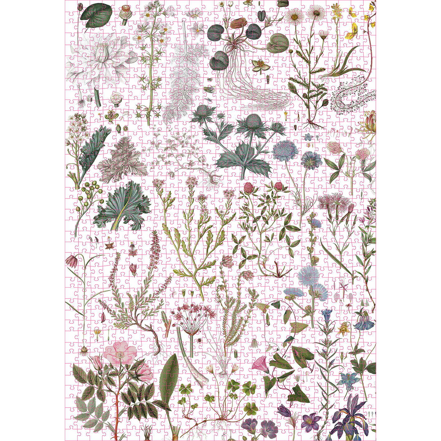 Koustrup&Co Flora Danica 1000 Palan Palapeli