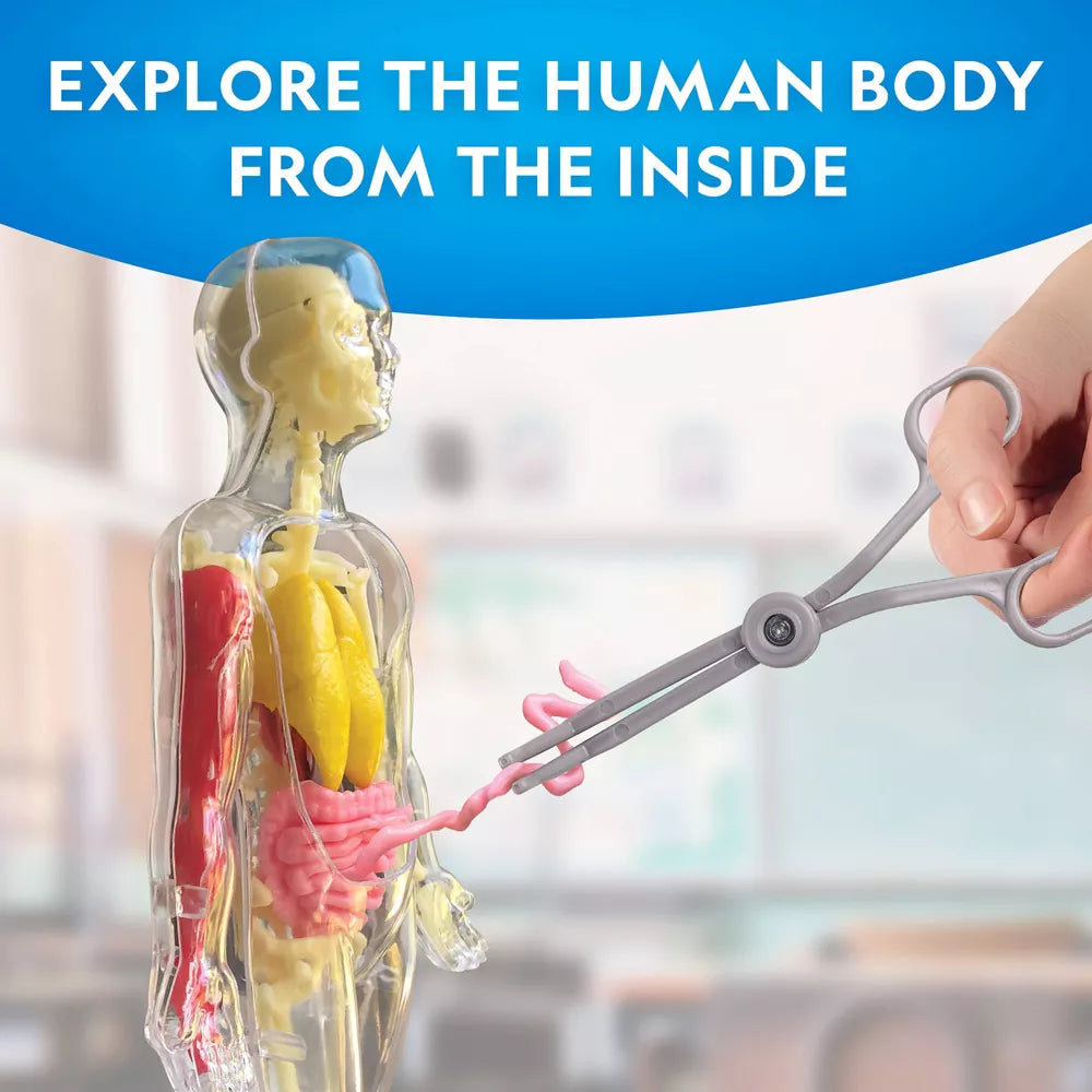 National Geographic Human Body Pimeässä Hohtava Ihmiskeho 32 osaa