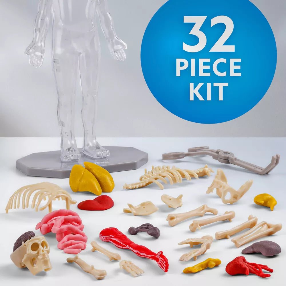 National Geographic Human Body Pimeässä Hohtava Ihmiskeho 32 osaa