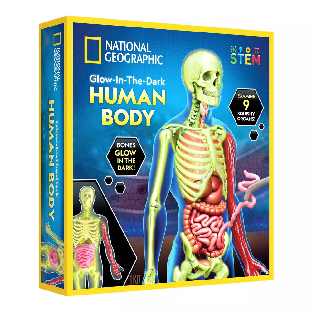 National Geographic Human Body Pimeässä Hohtava Ihmiskeho 32 osaa