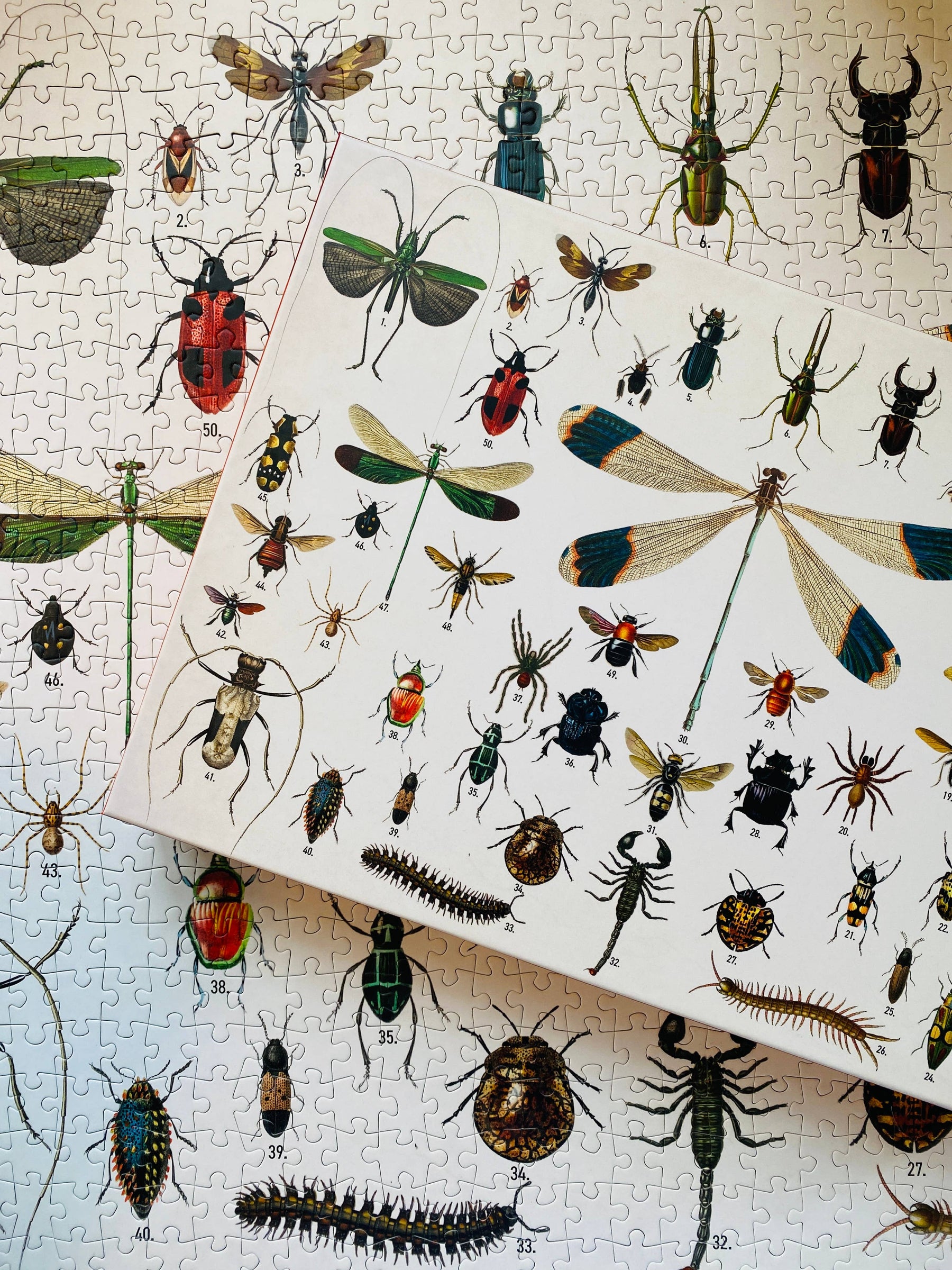 Penny Puzzle Bugs and Beetles Vintage 1000 Palan Palapeli