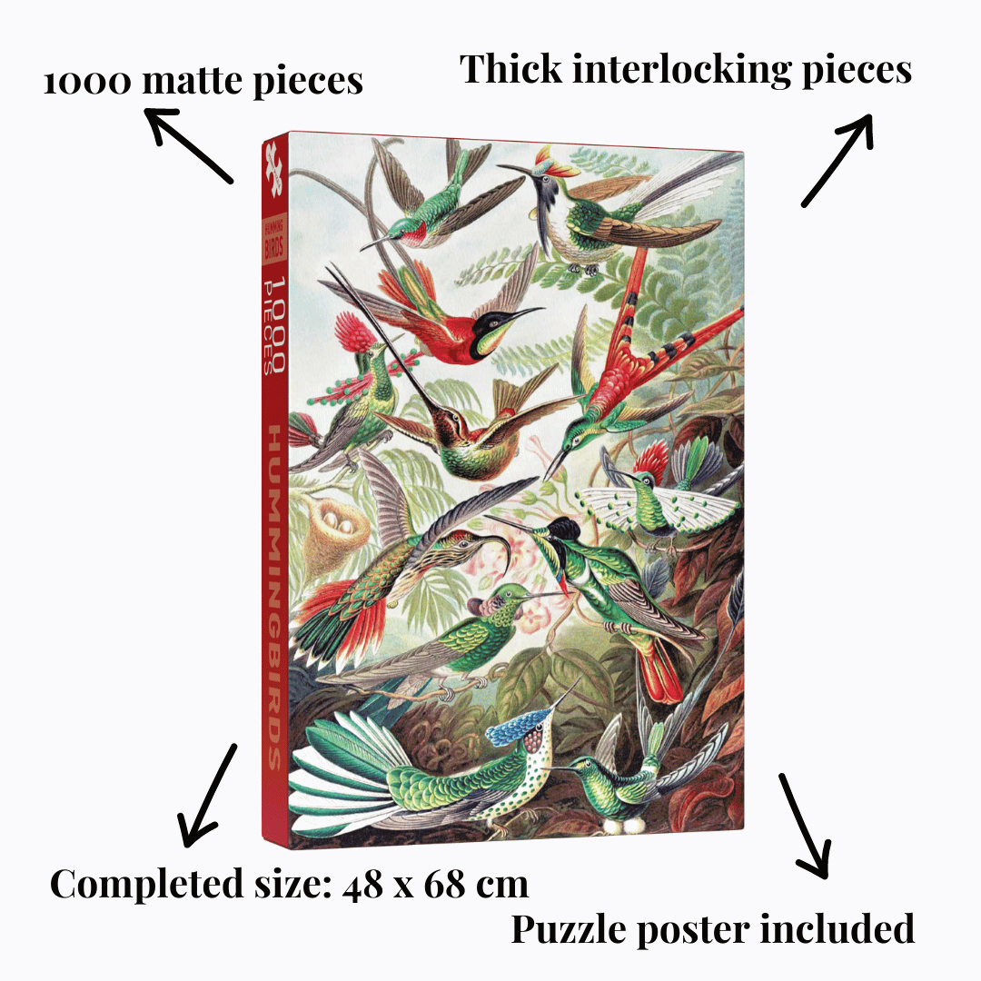 Penny Puzzle Kolibrit/Hummingbirds 1000 Palan Palapeli Vintage