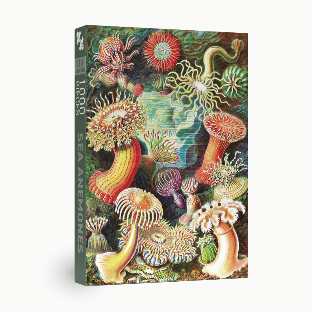 Penny Puzzle Sea Anemones 1000 Palan Vintage Palapeli