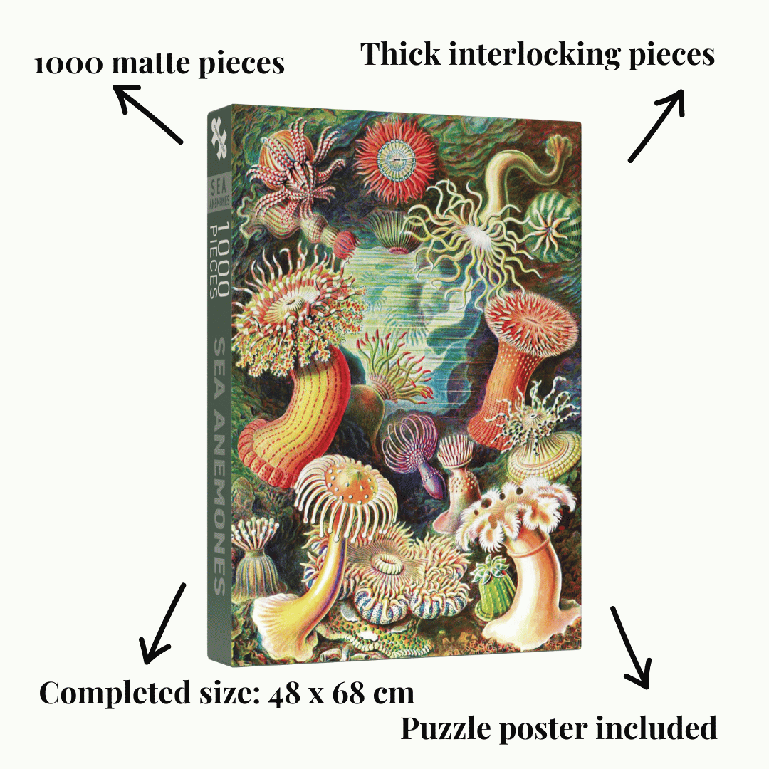 Penny Puzzle Sea Anemones 1000 Palan Vintage Palapeli
