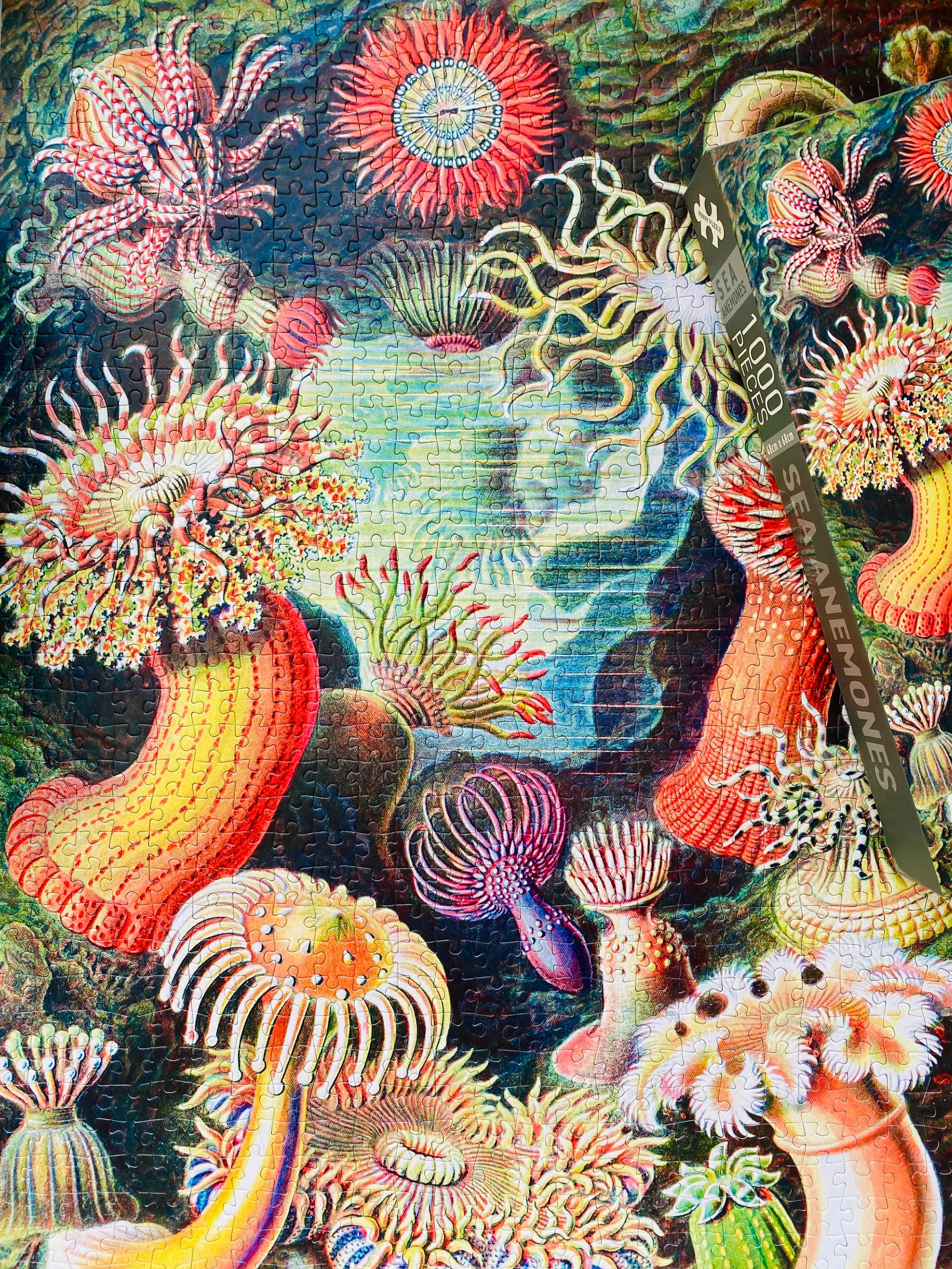 Penny Puzzle Sea Anemones 1000 Palan Vintage Palapeli