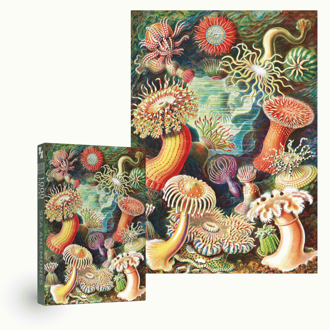 Penny Puzzle Sea Anemones 1000 Palan Vintage Palapeli