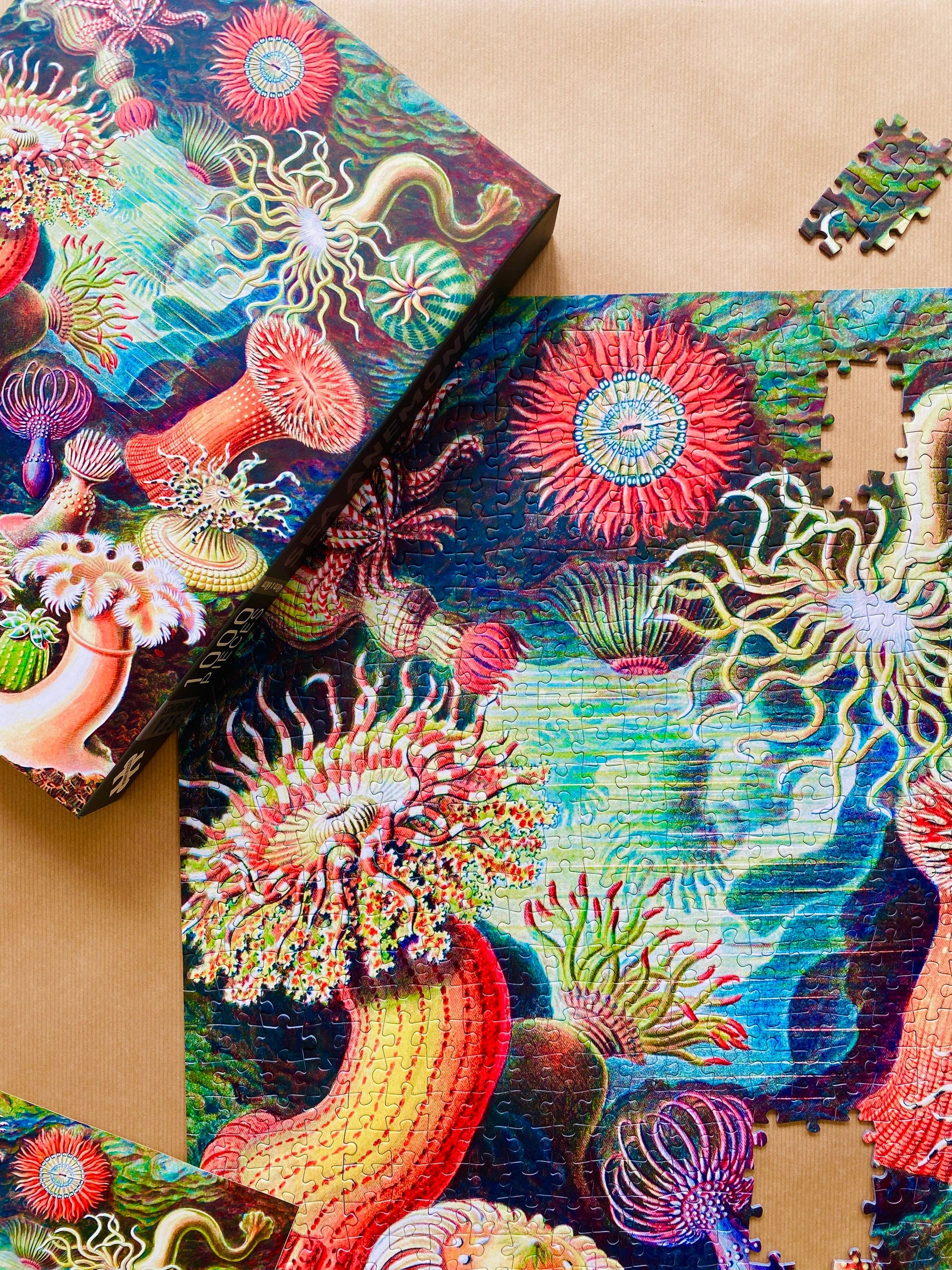Penny Puzzle Sea Anemones 1000 Palan Vintage Palapeli