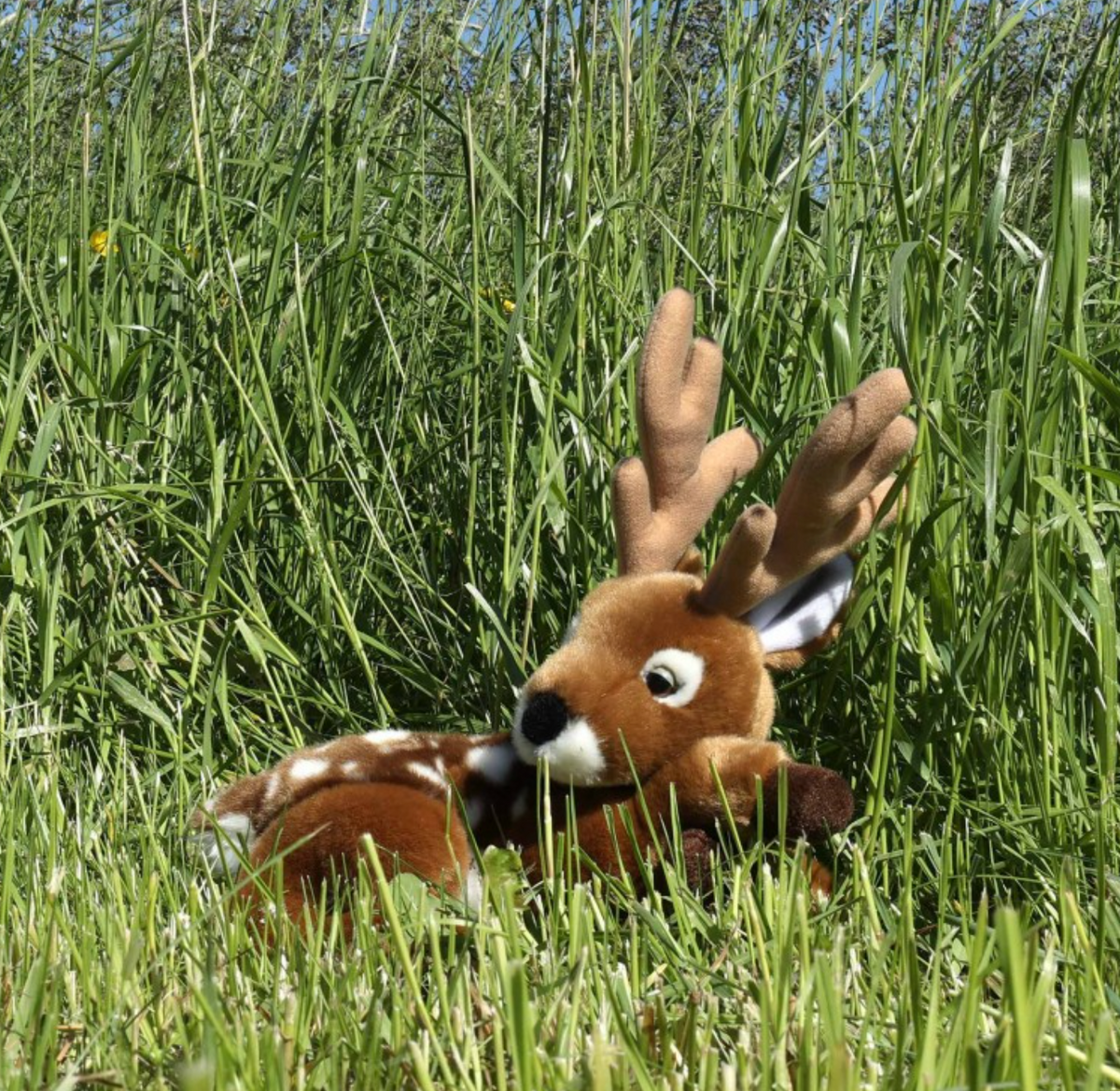 Rappa Eco Friendly Peura Pehmolelu 28cm