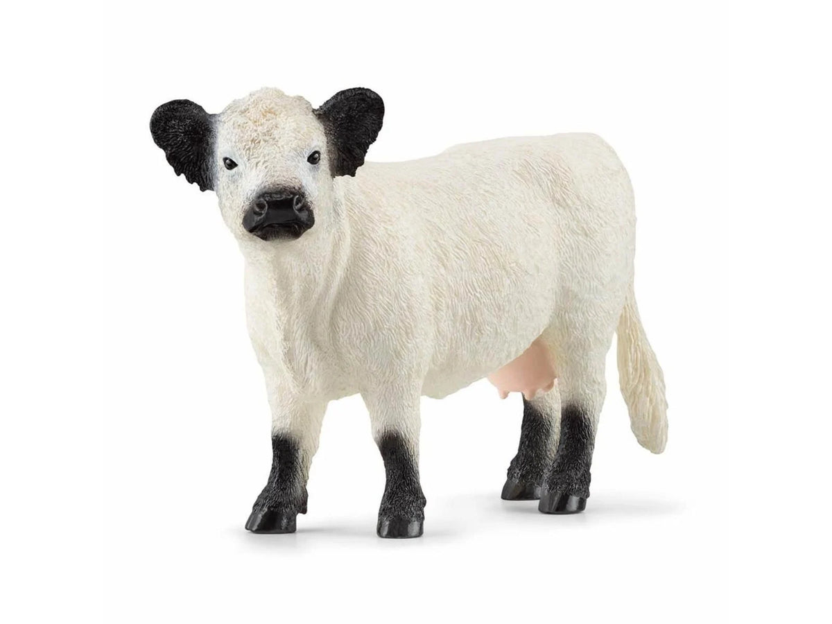 Schleich 13960 Galloway Lehmä