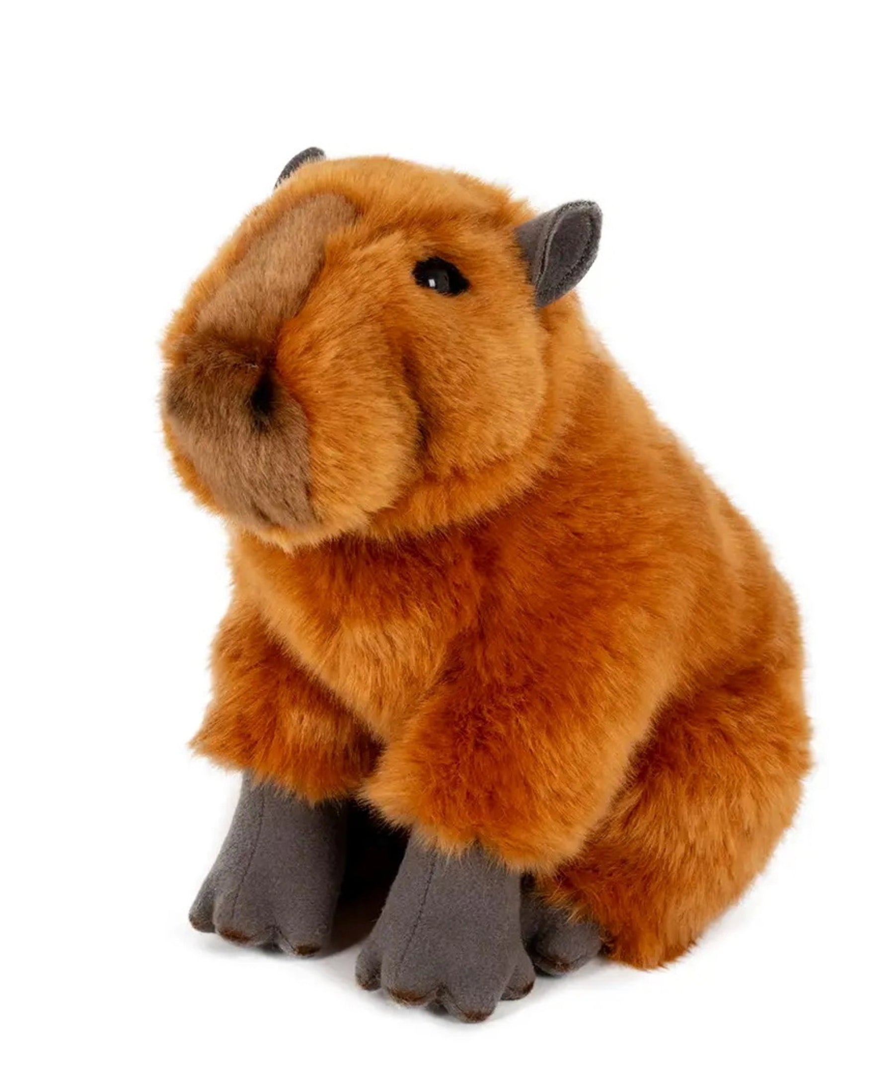 Semo Kapybara 25 cm Pehmolelu