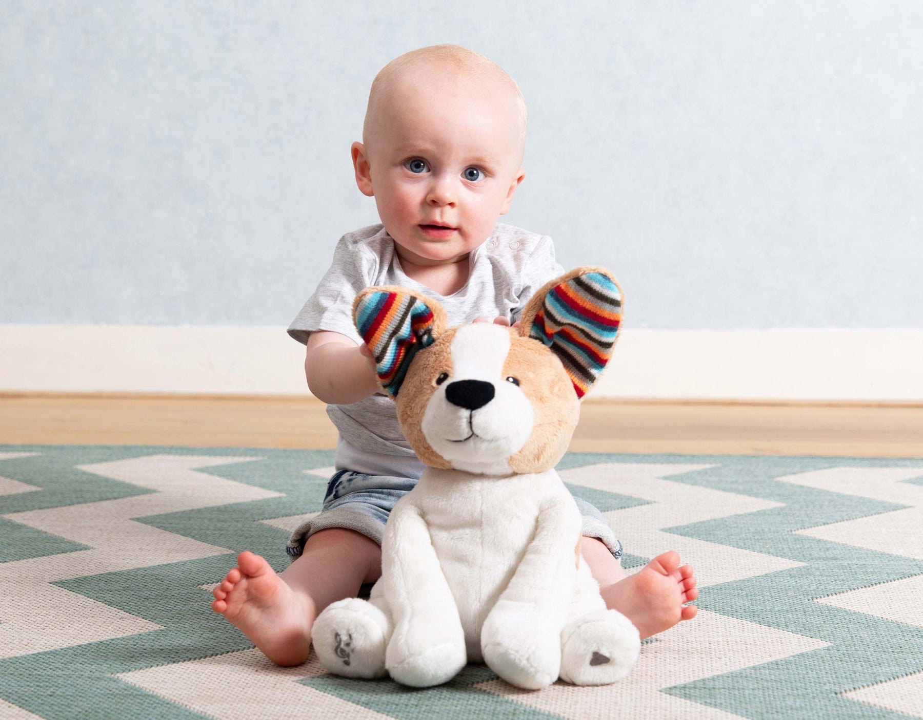 Zazu Peek-A- Boo Soft Toy Danny The Dog, Vauvan Aktiviteettipehmolelu