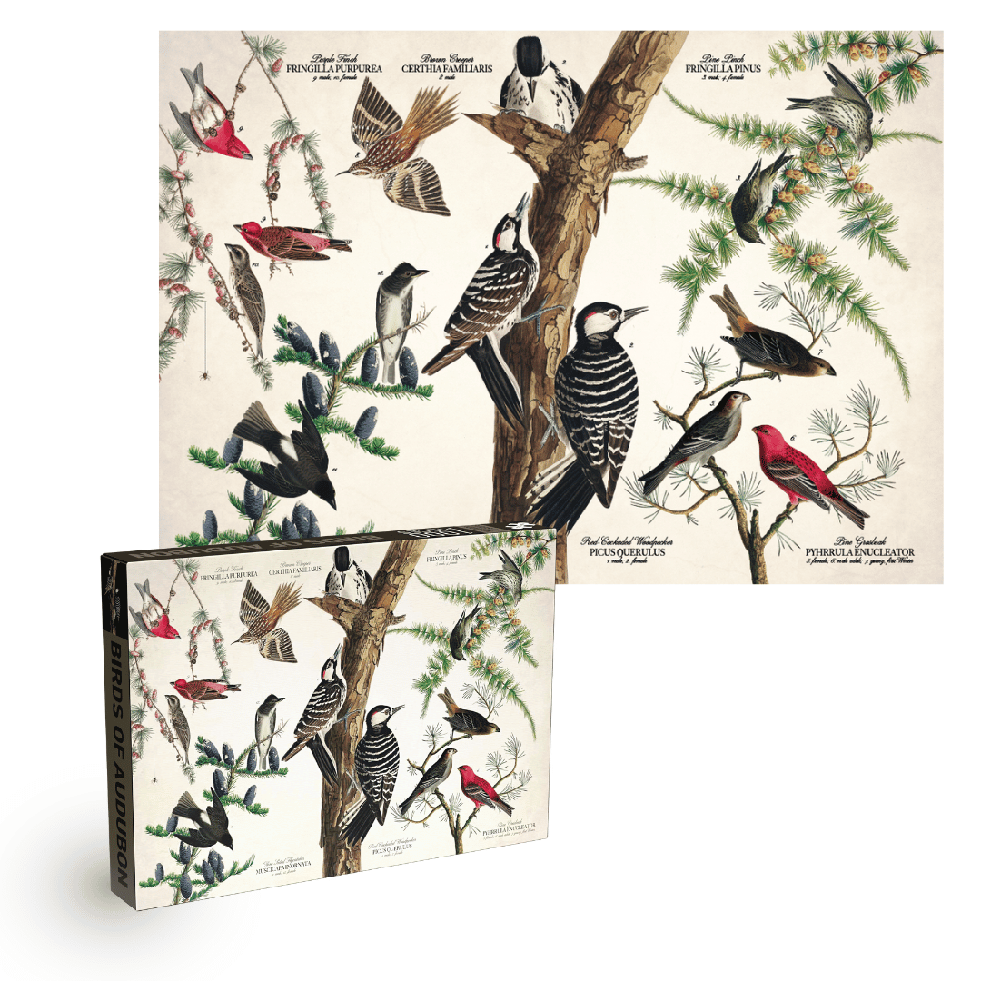 Penny Puzzle Birds of Audubon 1000 Palan Vintage Palapeli