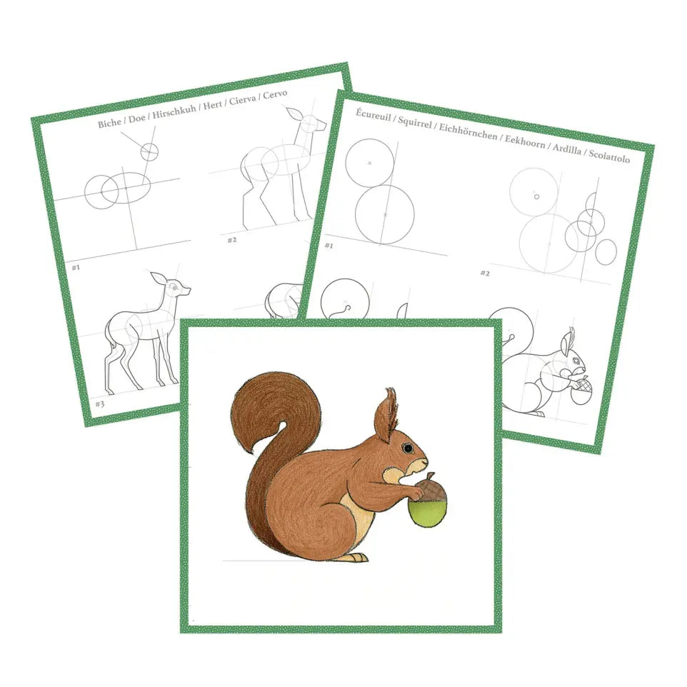 Graffy Nature Opettele Piirtämään 24 Kuvaa Metsäneläimet