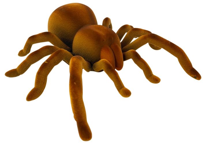 Real Wild Radio-Ohjattava Hämähäkki Tarantella