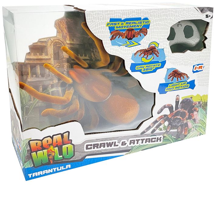 Real Wild Radio-Ohjattava Hämähäkki Tarantella