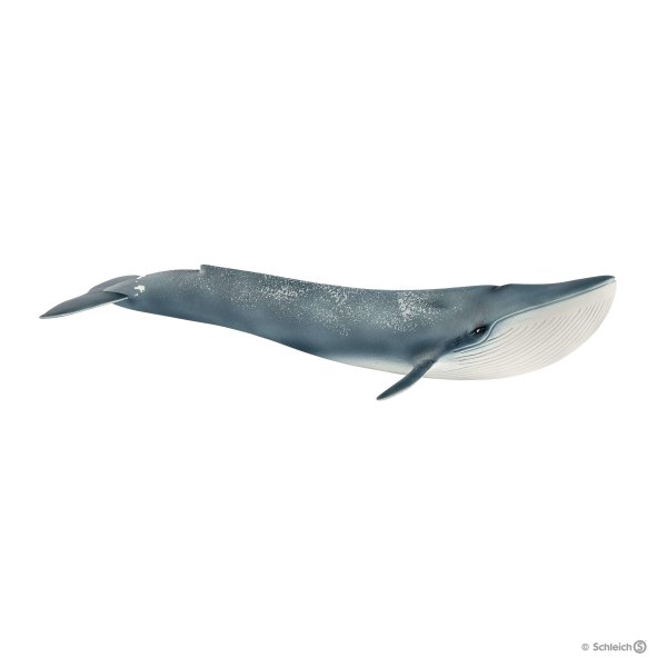 Schleich Sinivalas 14806