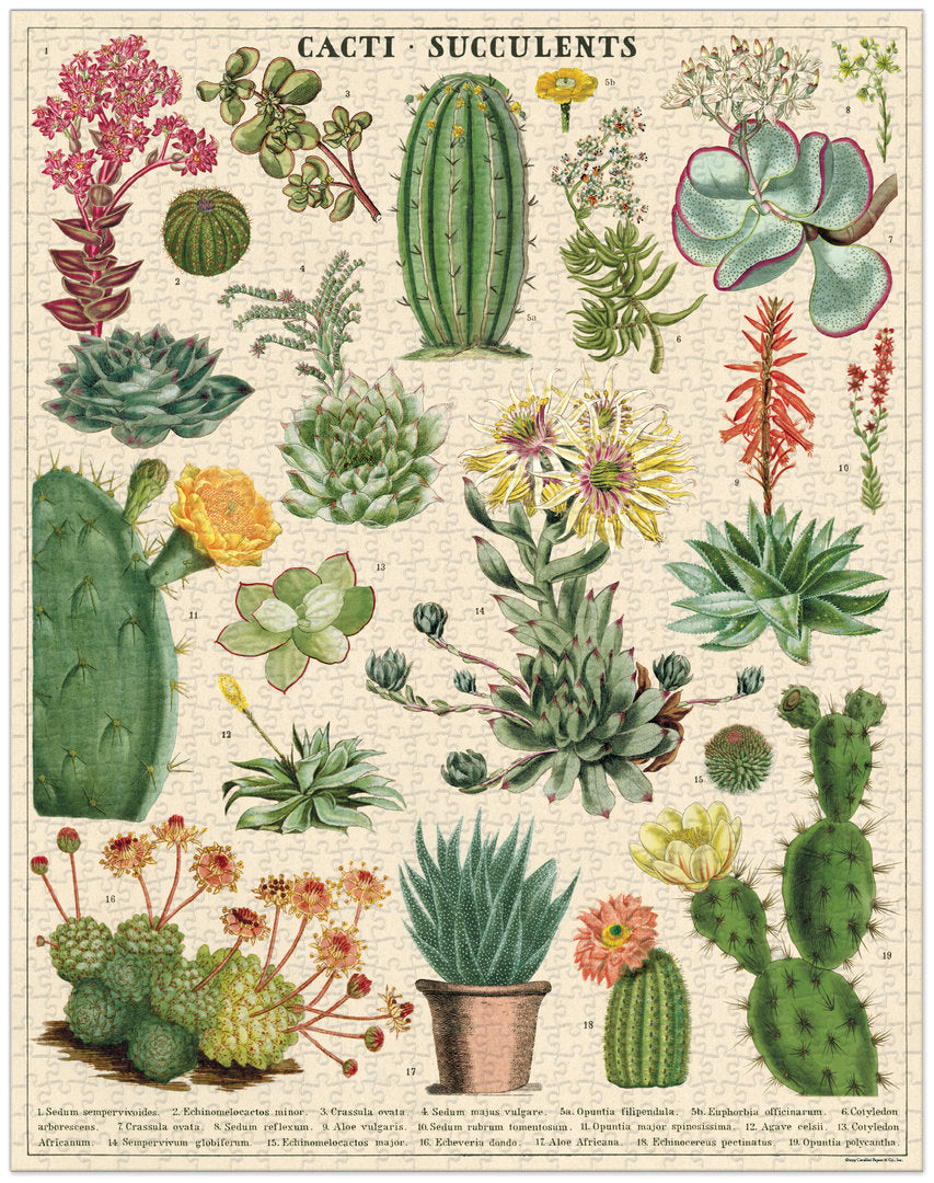Cavallini & Co. Vintage Puzzle 1000 palaa Cacti & Succulents