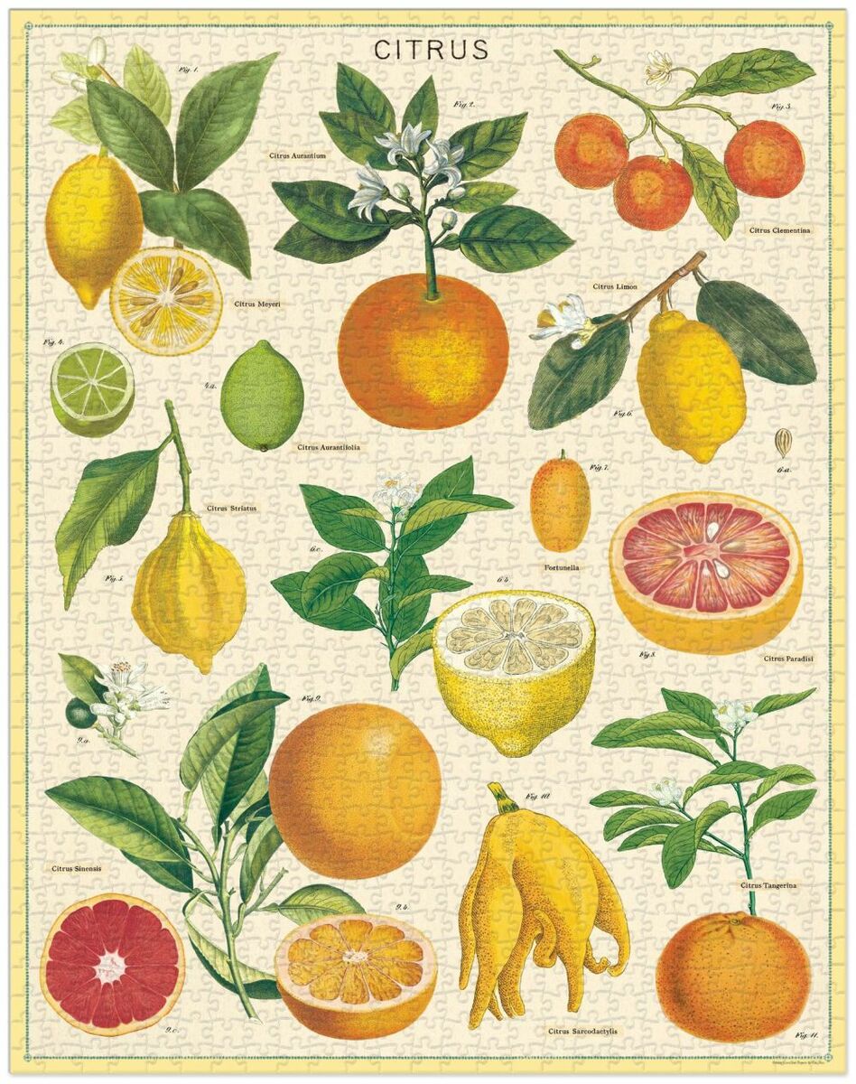 Cavallini & Co. Vintage Puzzle 1000 palaa Citrus