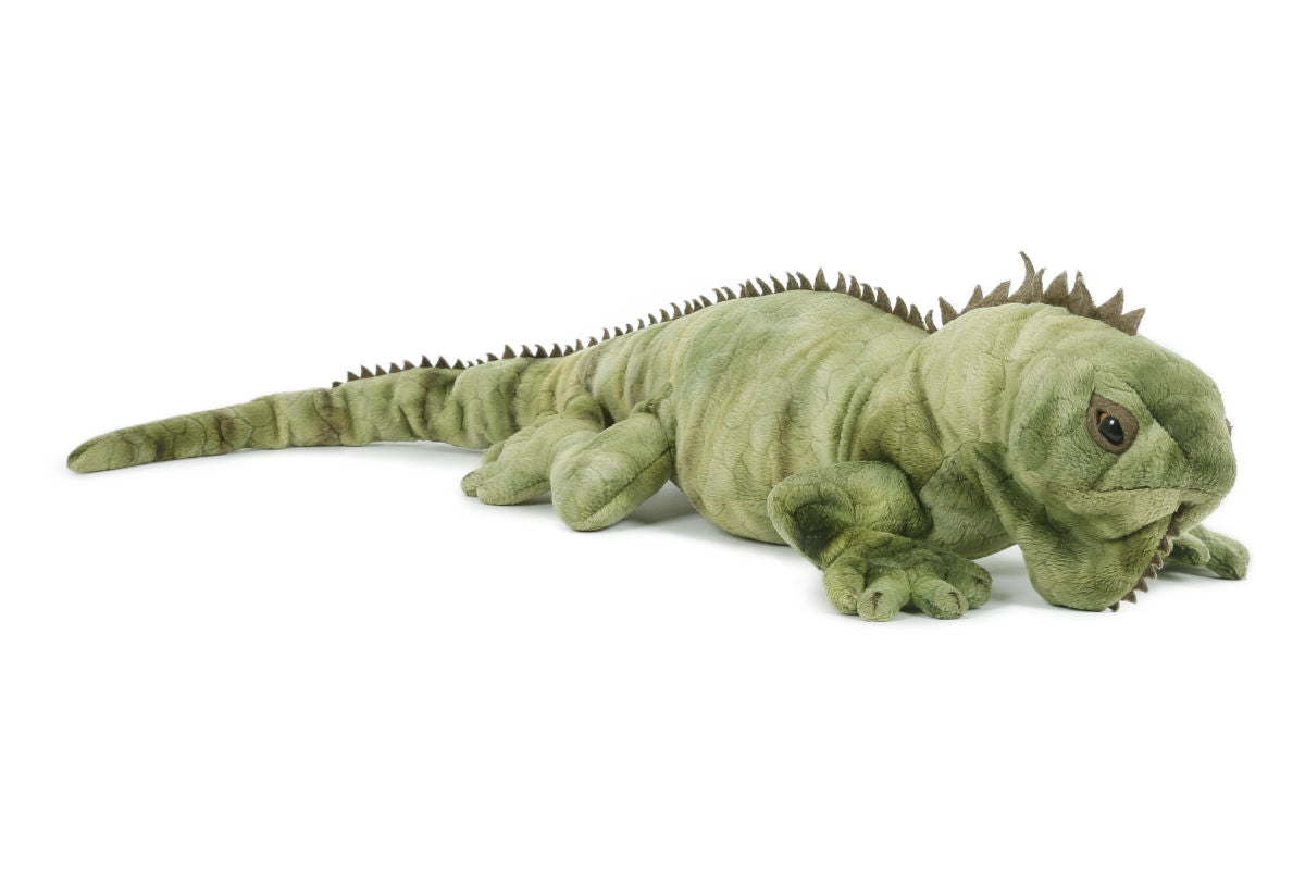 Leguaani 70cm