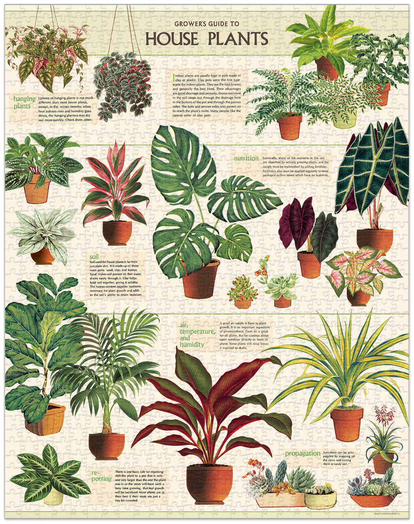 Cavallini & Co. Vintage Puzzle 1000 palaa House Plants