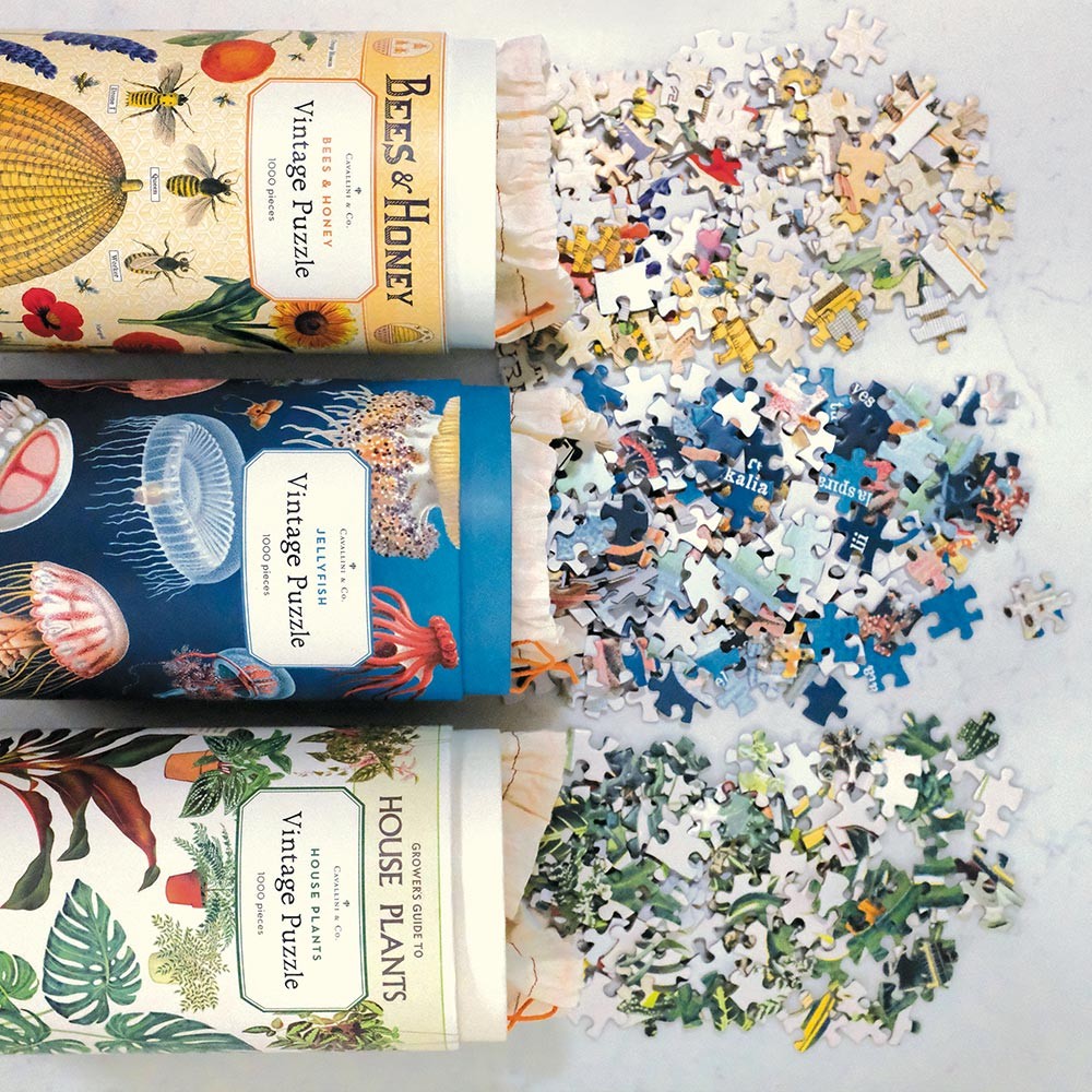 Cavallini & Co. Vintage Puzzle 1000 palaa House Plants