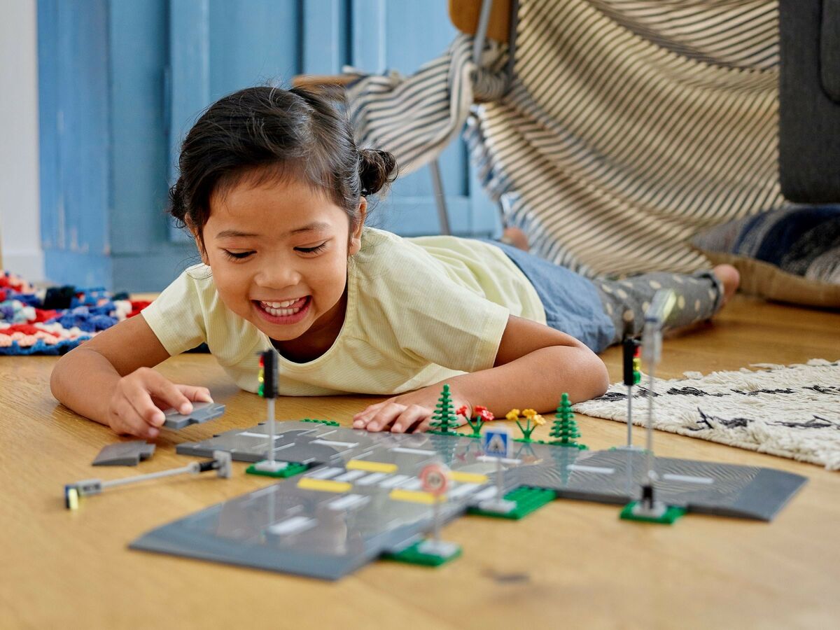 LEGO City 60304 Tierakennuslevyt