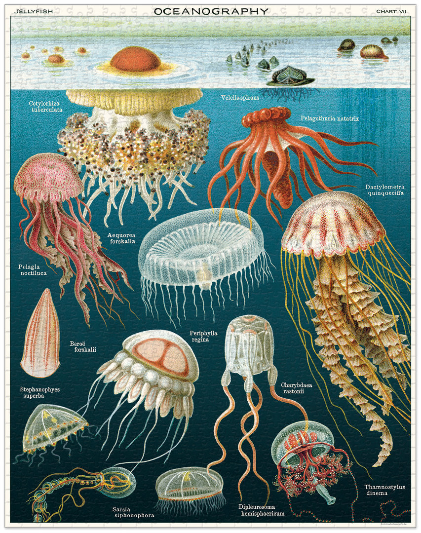 Cavallini & Co. Vintage Puzzle 1000 palaa Jellyfish
