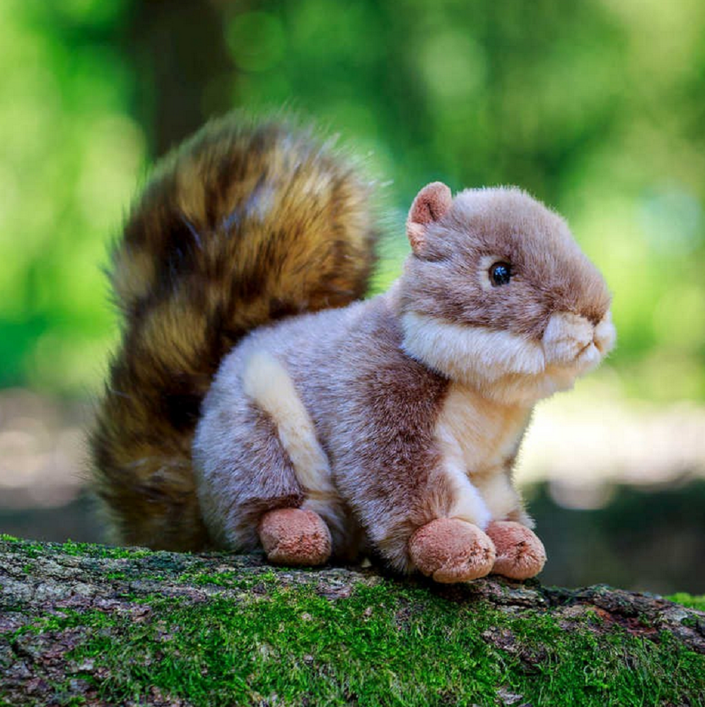 orava pehmolelu