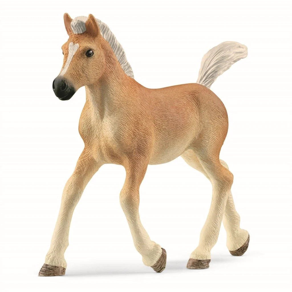 Schleich 13951 Haflinger Varsa