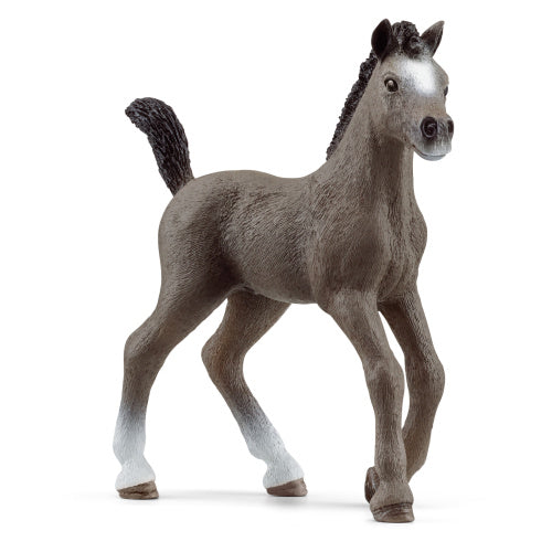 Schleich 13957 Ranskanpuoliverisen varsa