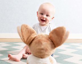 Zazu Peek-A- Boo Soft Toy Danny The Dog, Vauvan Aktiviteettipehmolelu