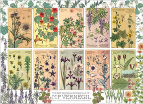 Cobble Hill 1000 Palan Palapeli Botanicals by Verneuil